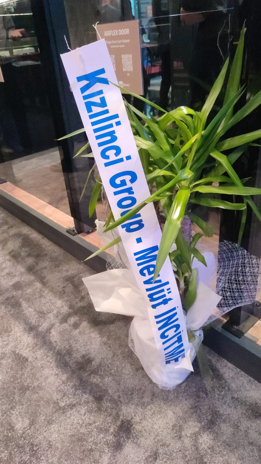 100 cm Yukka Avize E