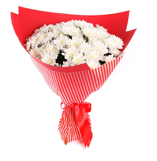 Beyaz papatya demeti