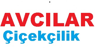 cicekci-logo